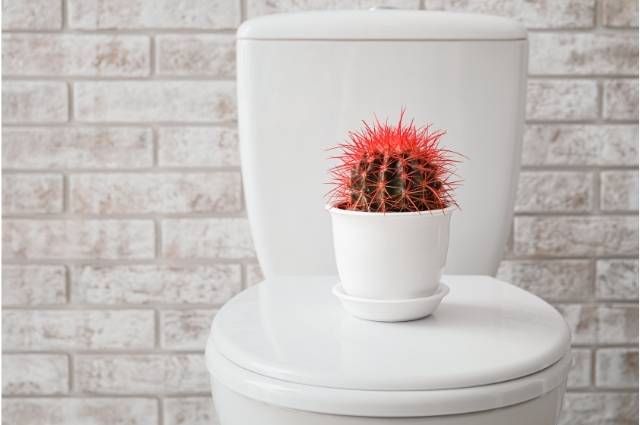 Hemorróida: Sintomas e causas