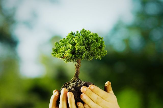 Consultoria Ambiental: Soluções Sustentáveis para Construtoras e Indústrias